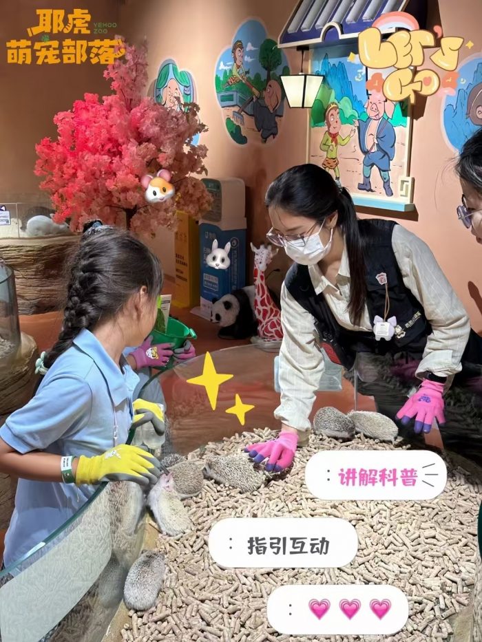 东莞市嘟嘟森林文化发展有限公司 - 图片 4