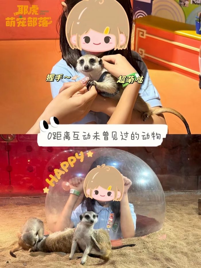 东莞市嘟嘟森林文化发展有限公司 - 图片 5