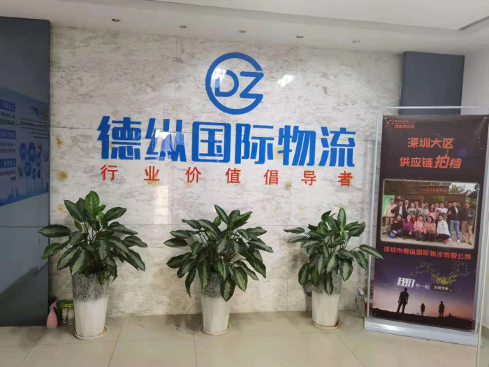 深圳市德纵国际物流有限公司