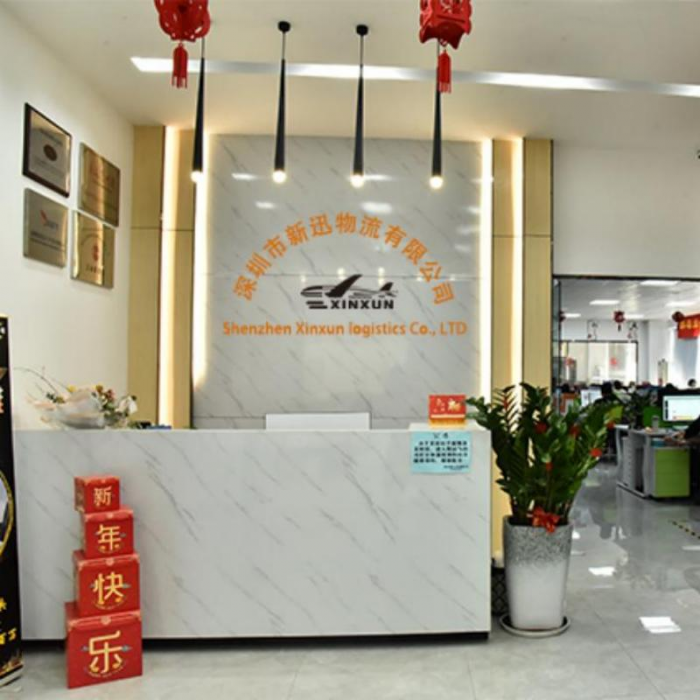 深圳市新迅国际货运代理有限公司