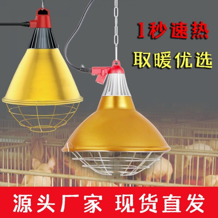 深圳市奇丽照明有限公司 - 图片 2