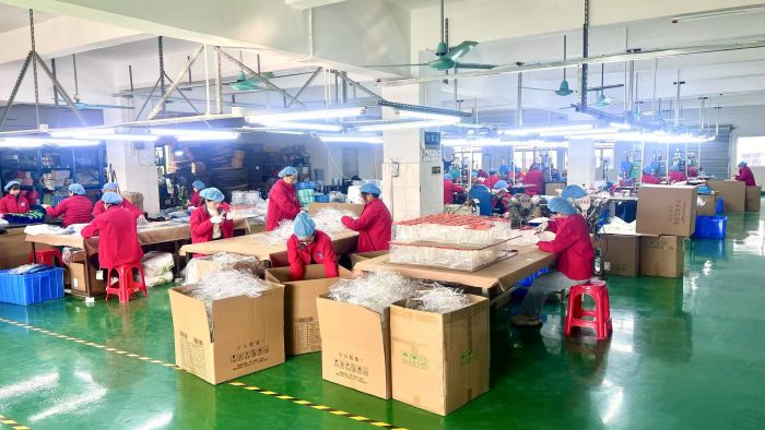 深圳市浩然塑胶制品有限公司 - 图片 6